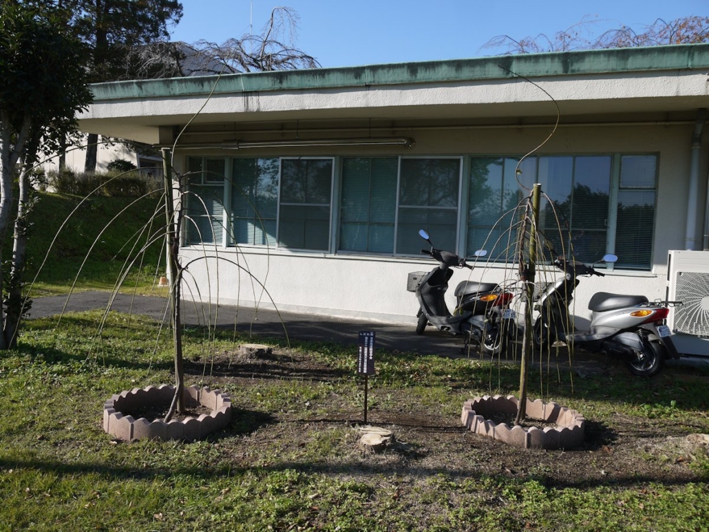 記念植樹・全景